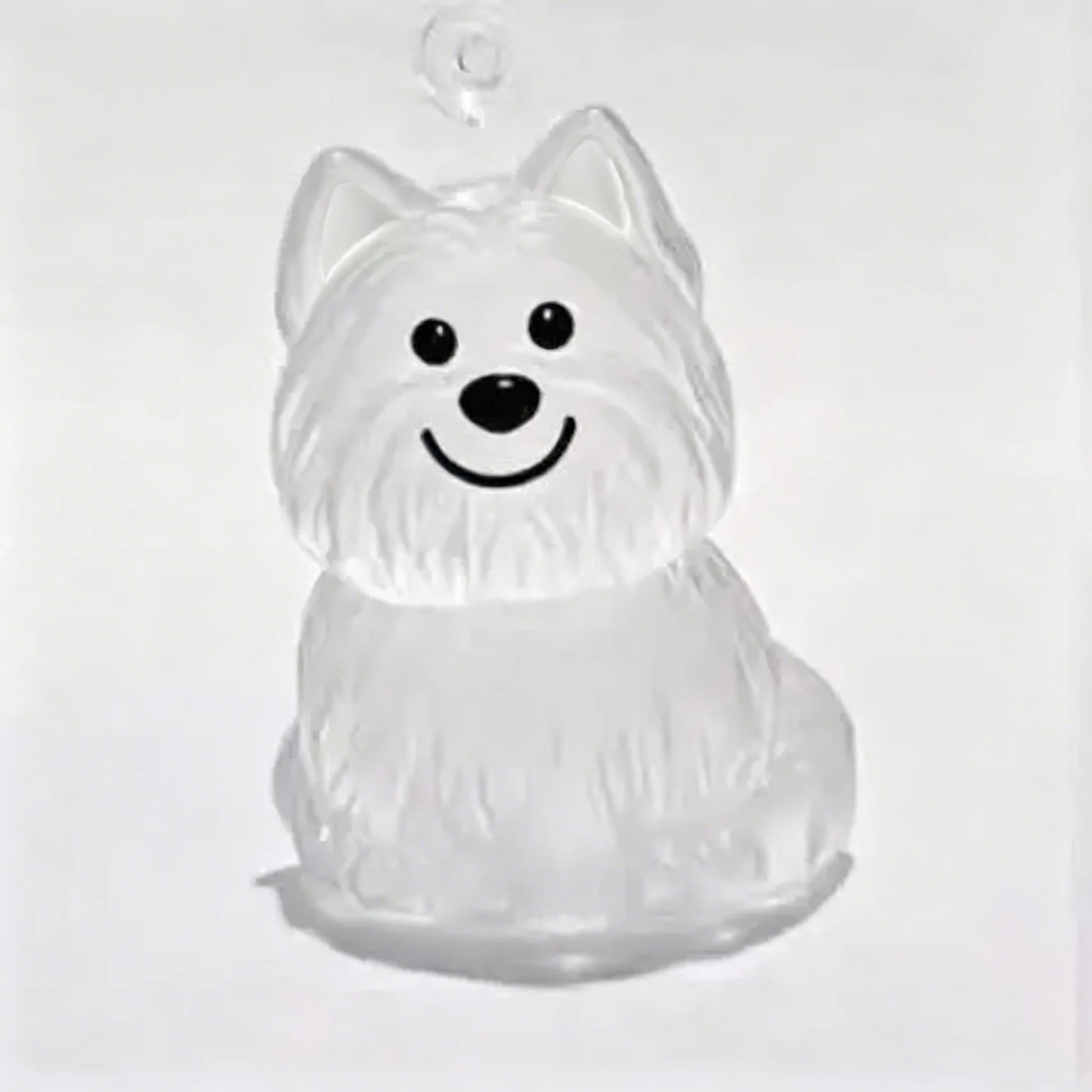 Dog Memorial Keychain with Fur Keepsake Compartment